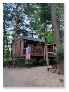 A picture of one of our cabins