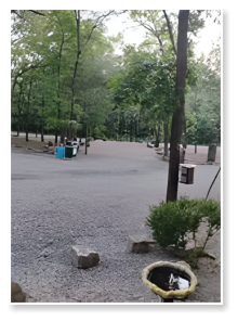 A picture of one of our RV sites